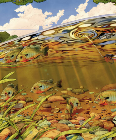 An illustration of fish under water