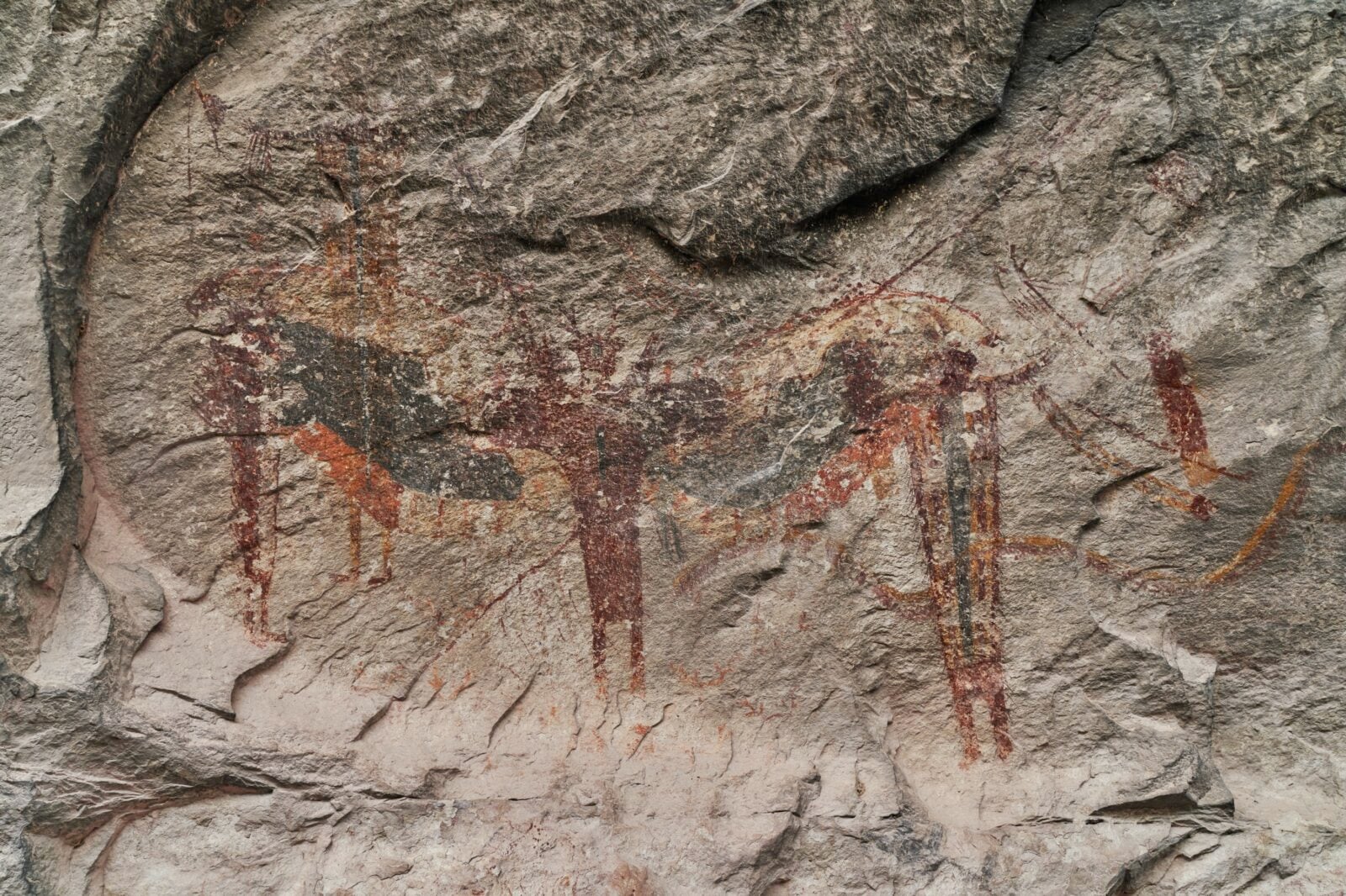 Cave art on a rock wall