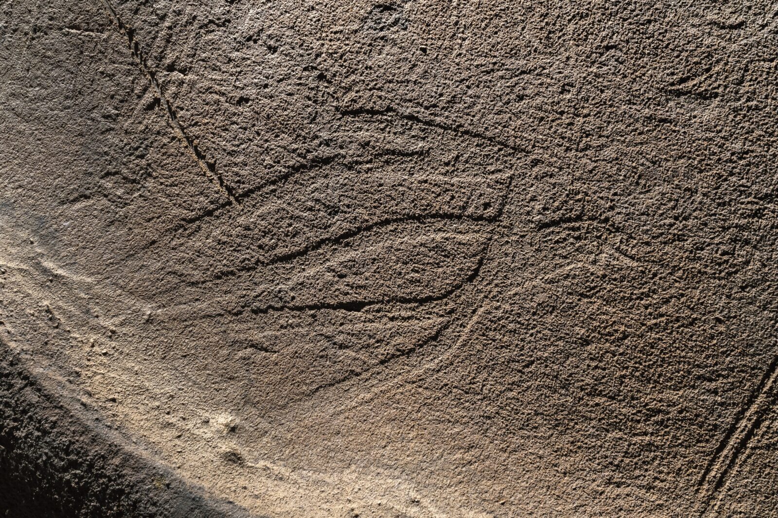 A mud glyph in the 19th Unnamed Cave.