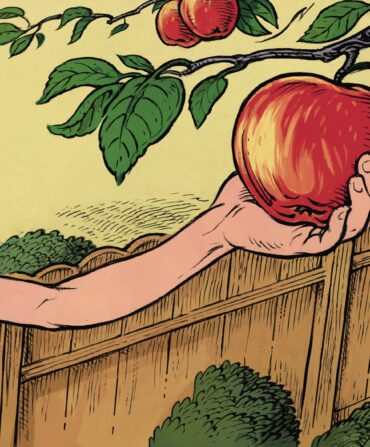 An illustration of a boy picking apples