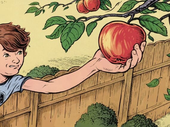 An illustration of a boy picking apples