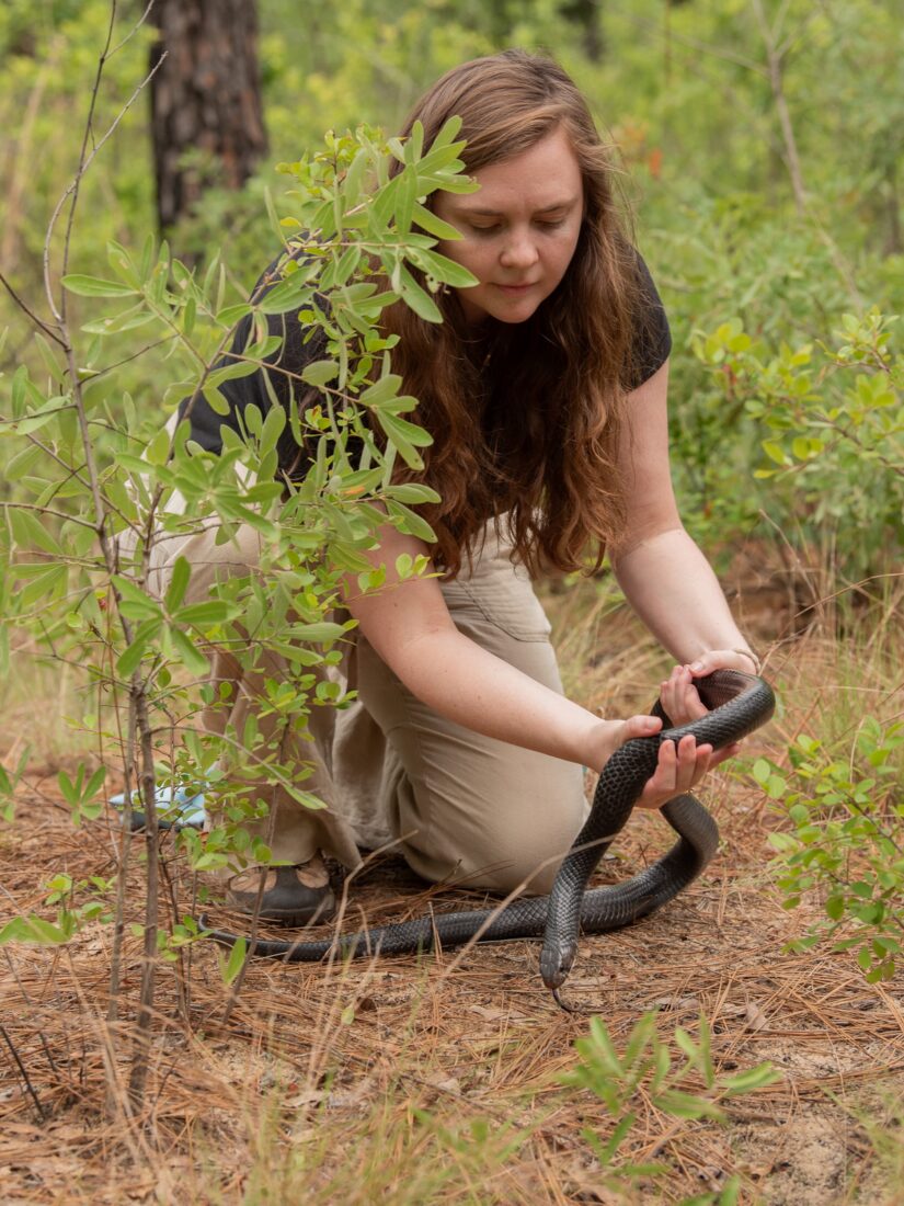 A woman releases a snake in a forest