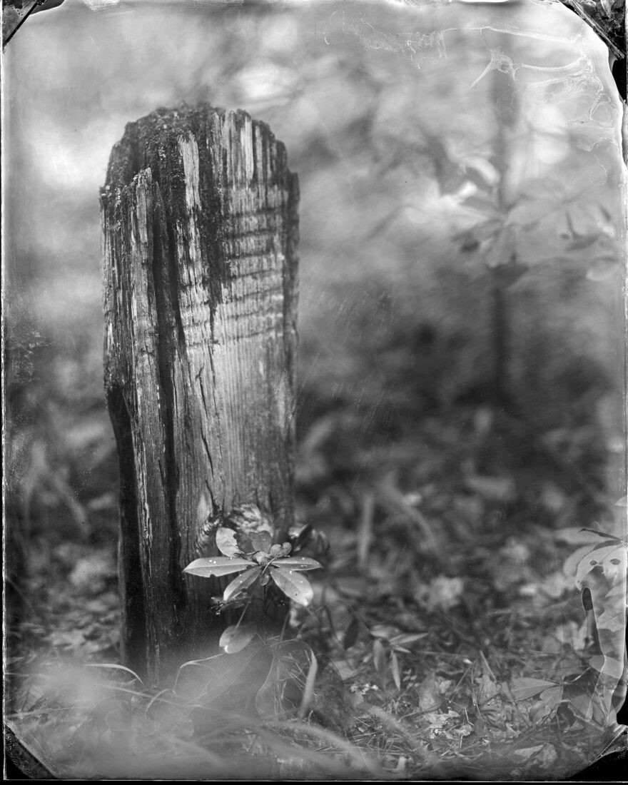 A wood grave marker