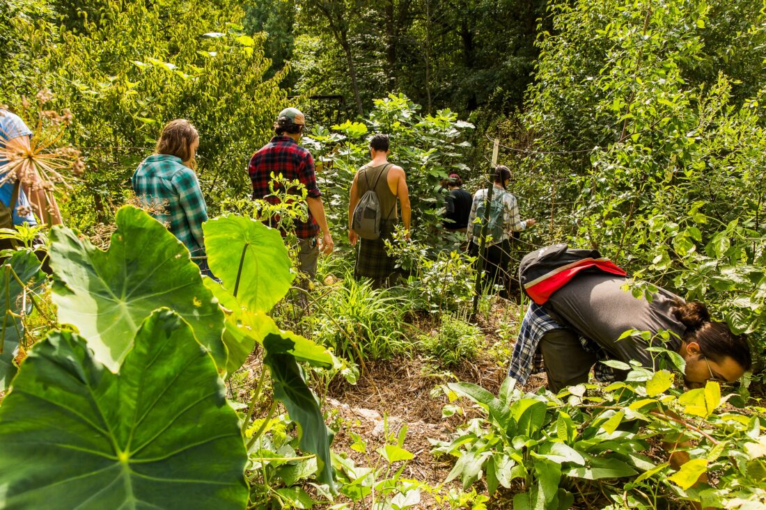 People walk through a garden