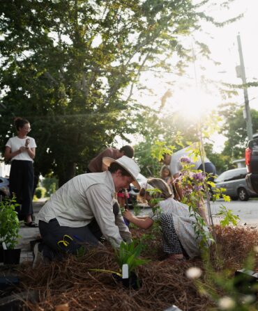 People plant a garden