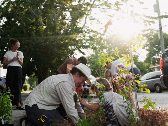 People plant a garden