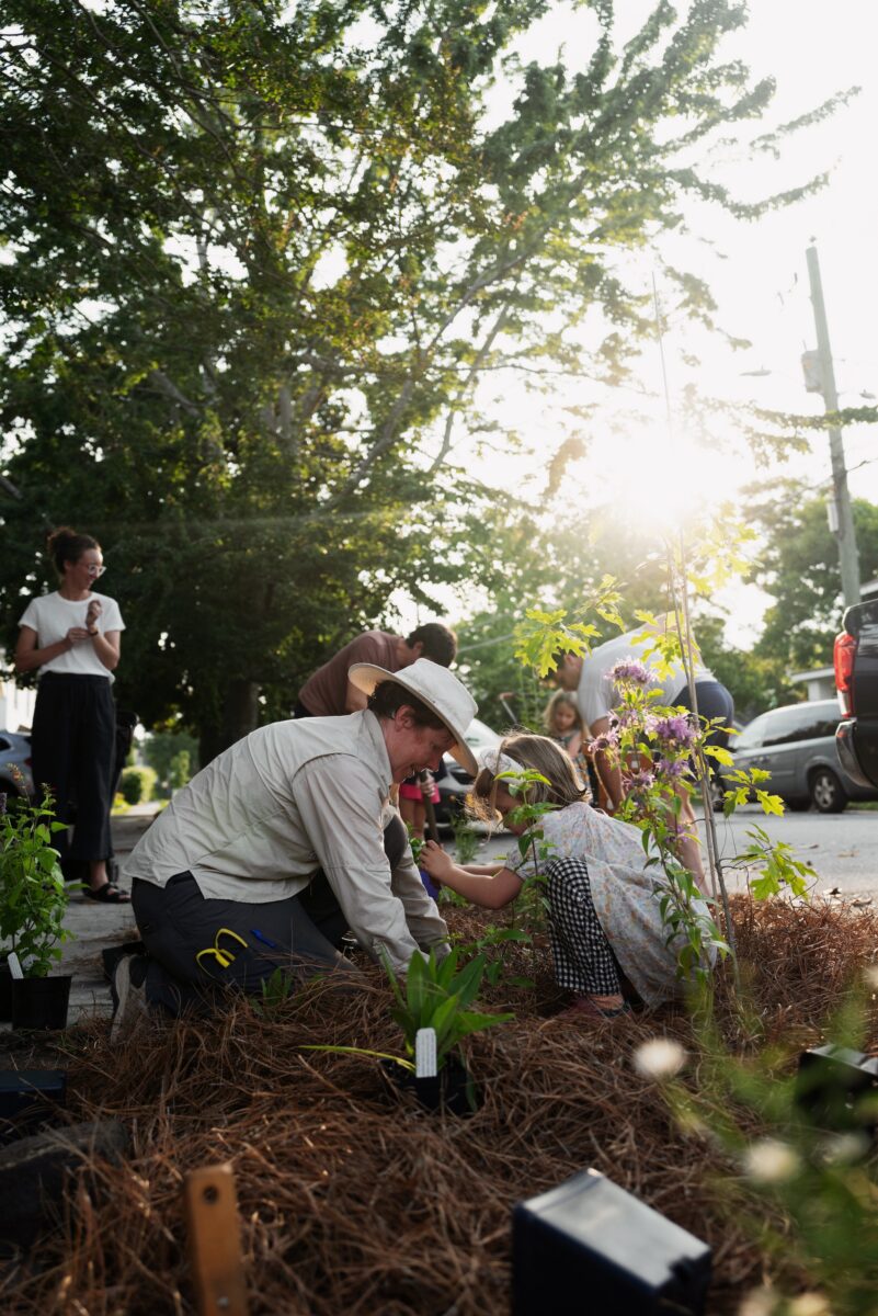 People plant a garden