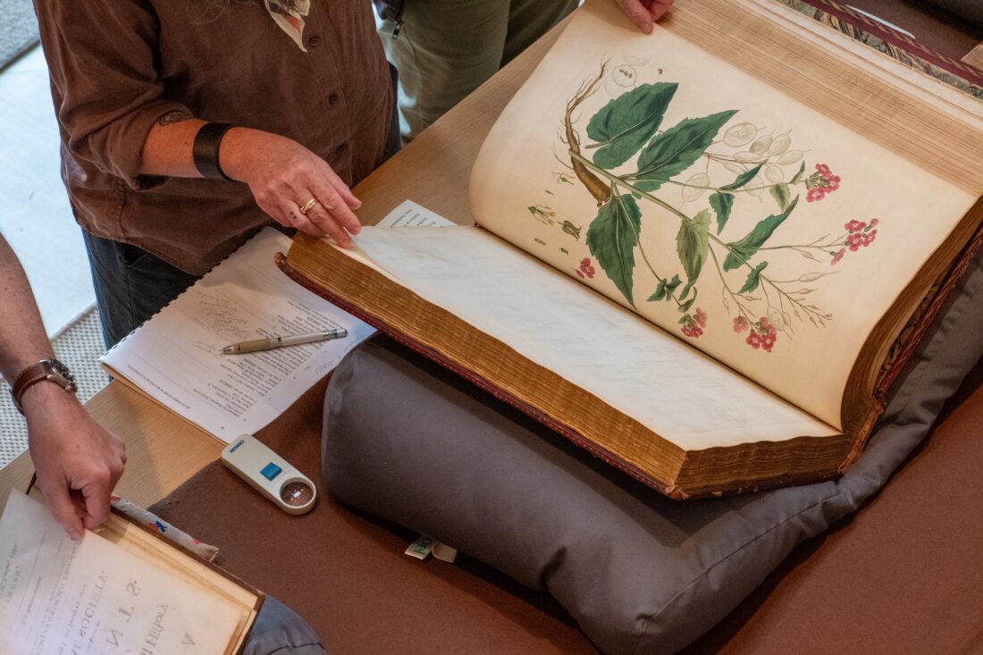 A person flips through a botanical illustration book