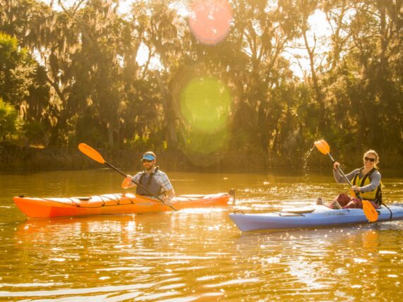kayaks