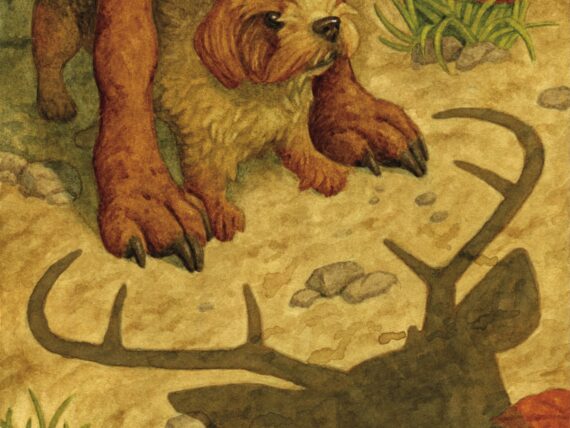 An illustration of a small dog under a bigger dog with the shadow of a deer