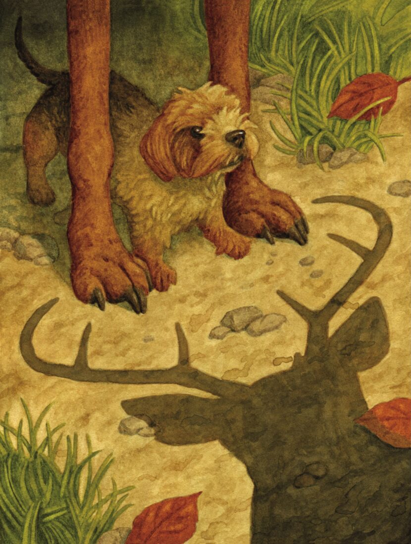 Growing to Love a Small Dog – Garden & Gun