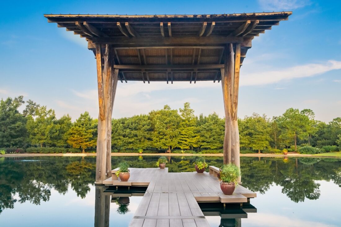 A pond in a garden