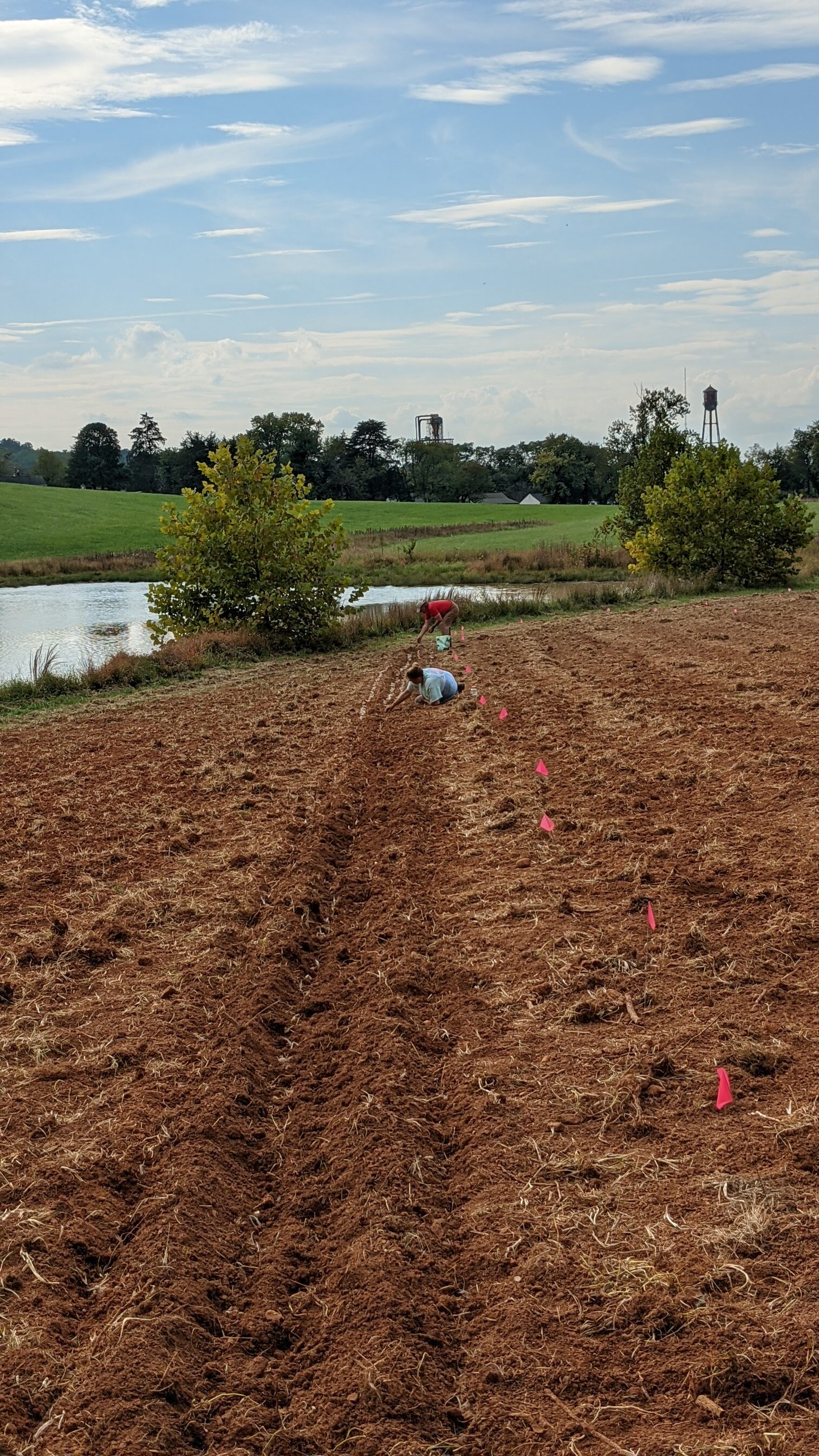 a tilled field