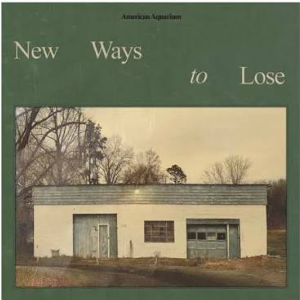 new ways to lose album cover