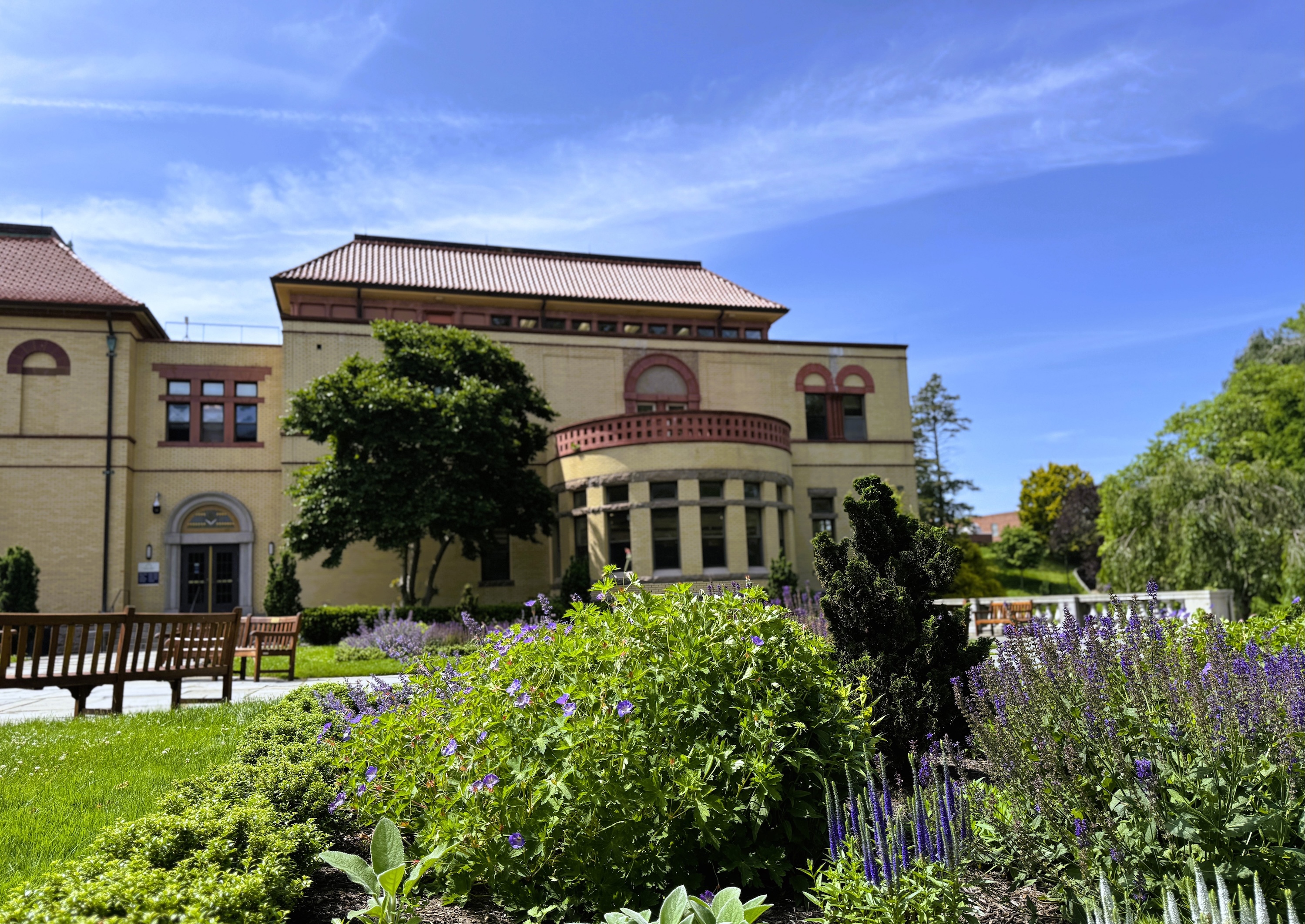 library exterior and park