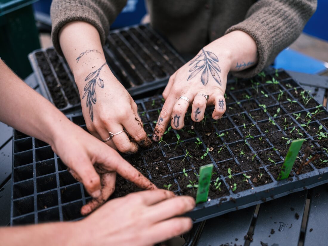 People plant seeds