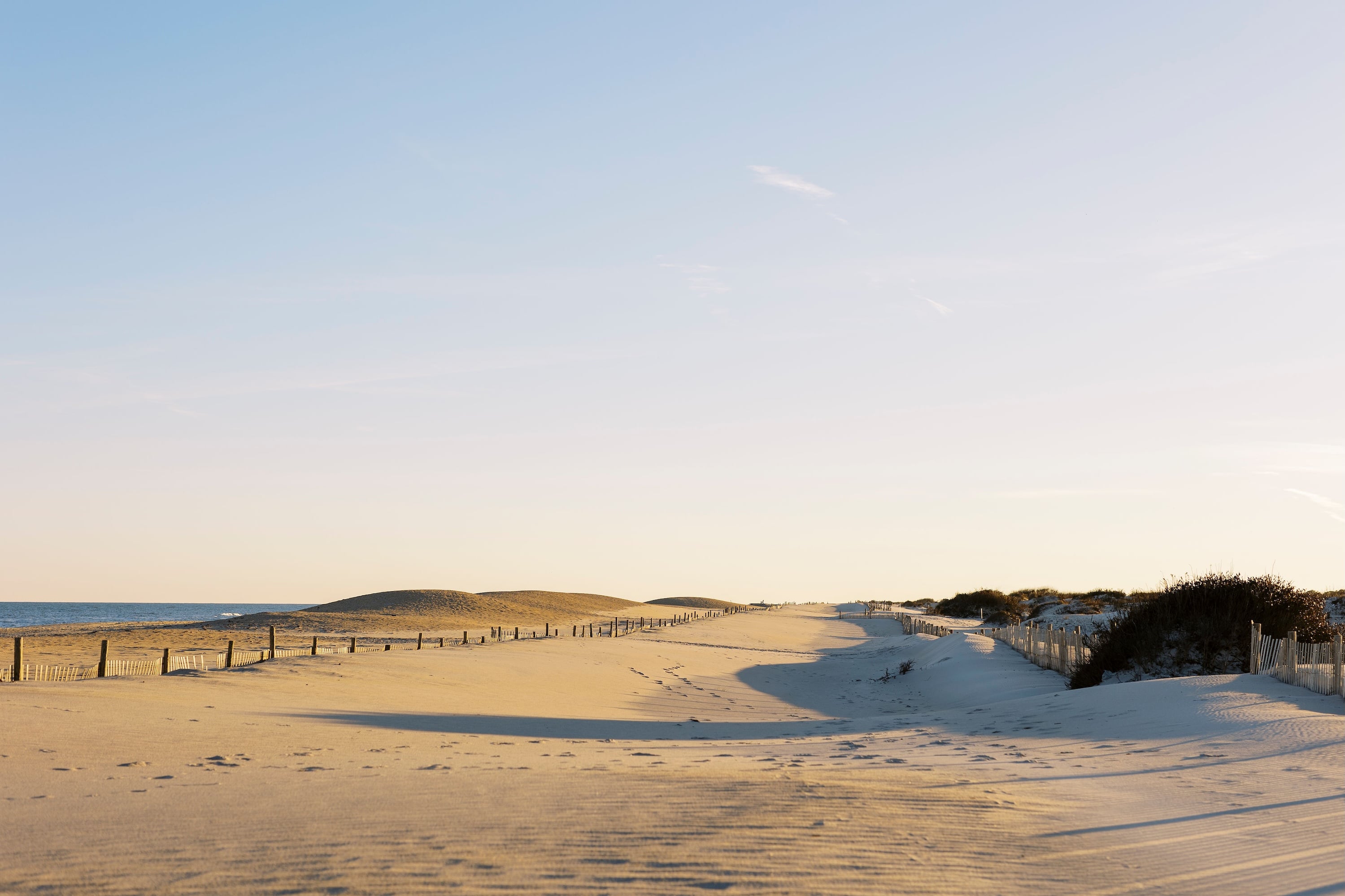 assateague