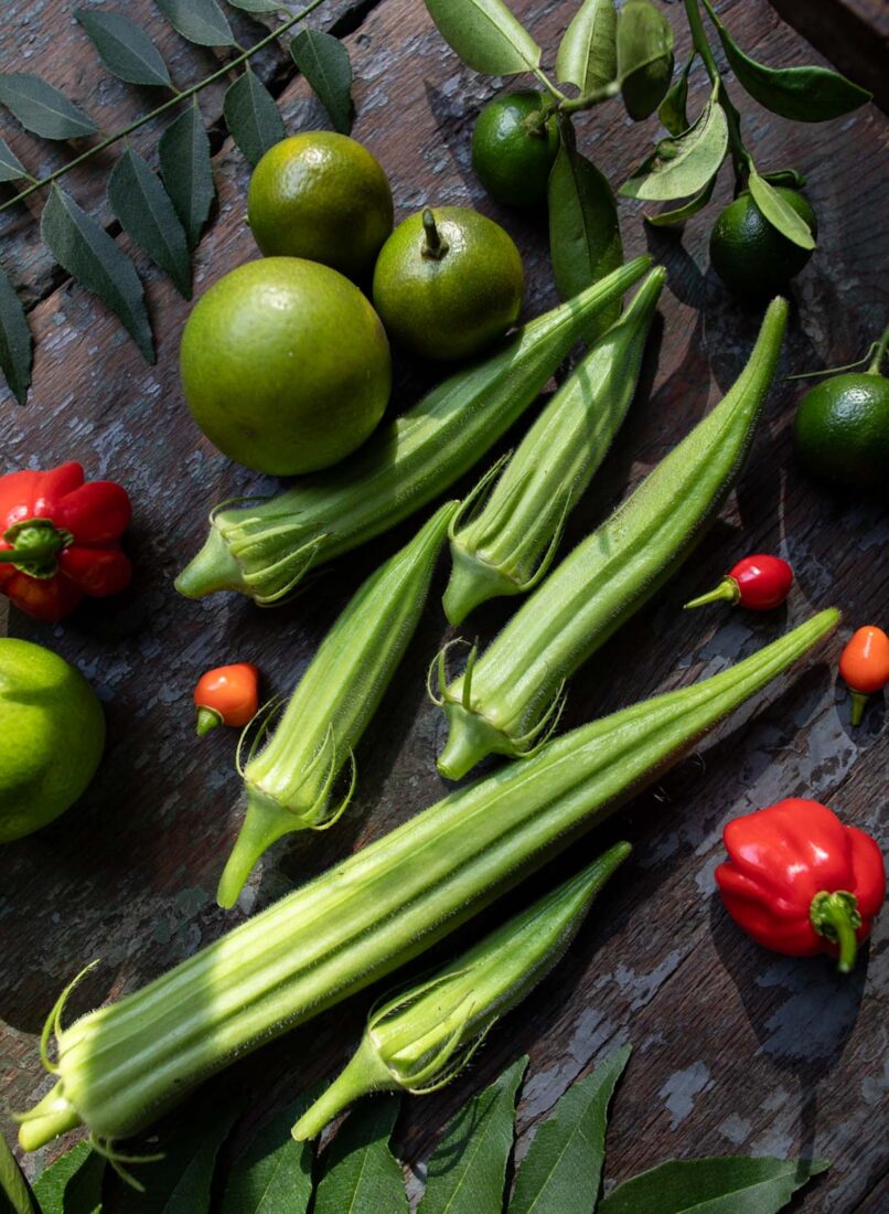 Okra
