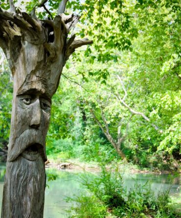 A tree with a carved face