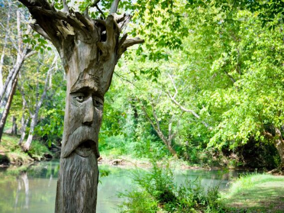 A tree with a carved face