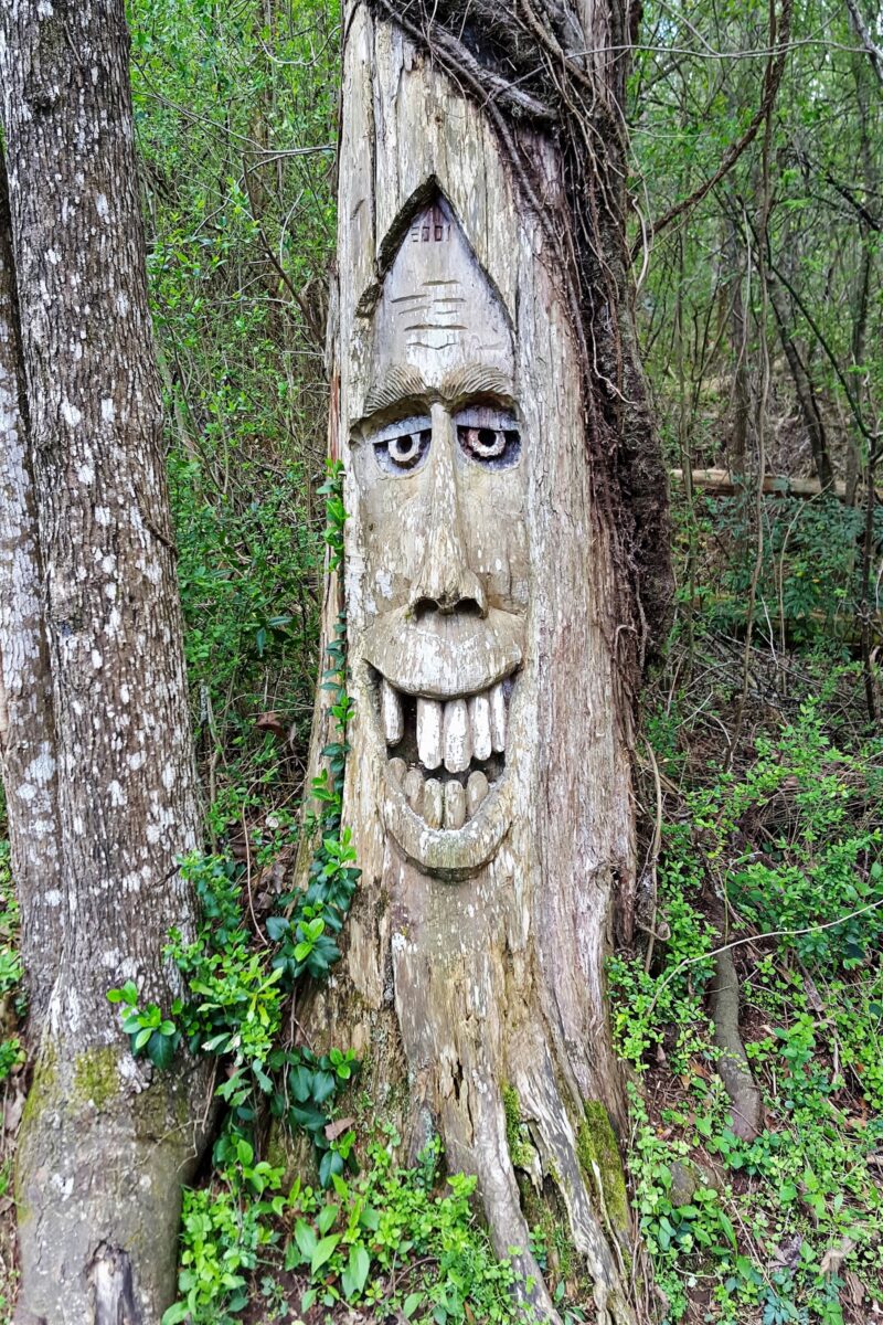 A tree with a face