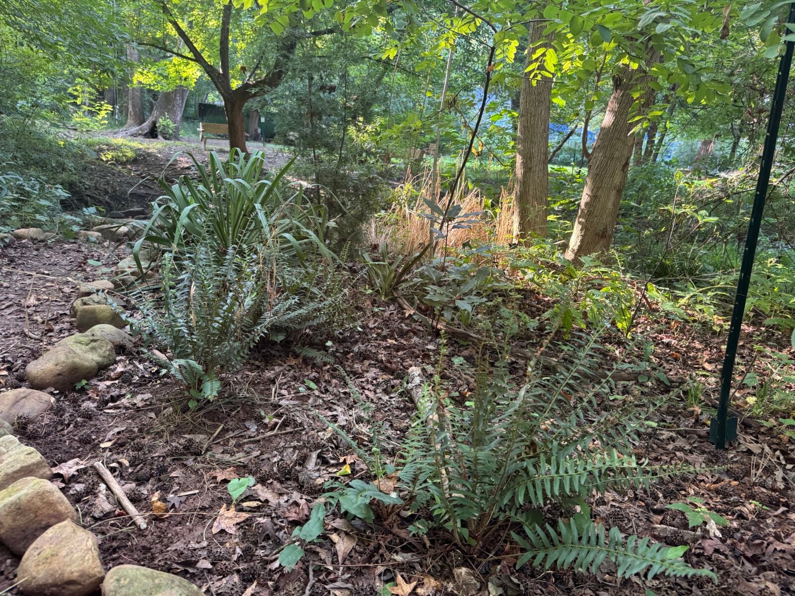 What Is a Soft Landing, and Why Does Your Garden Need One?