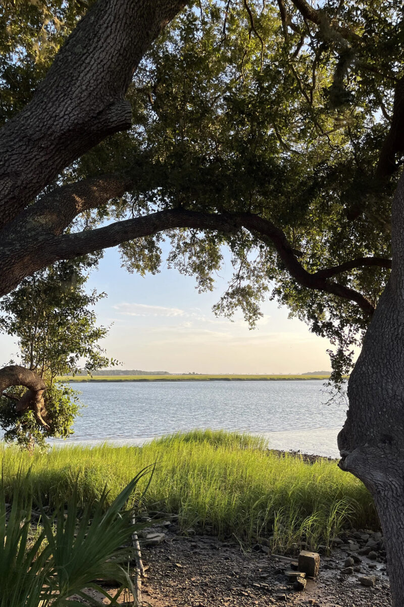 A waterway framed by oak trees and marsh