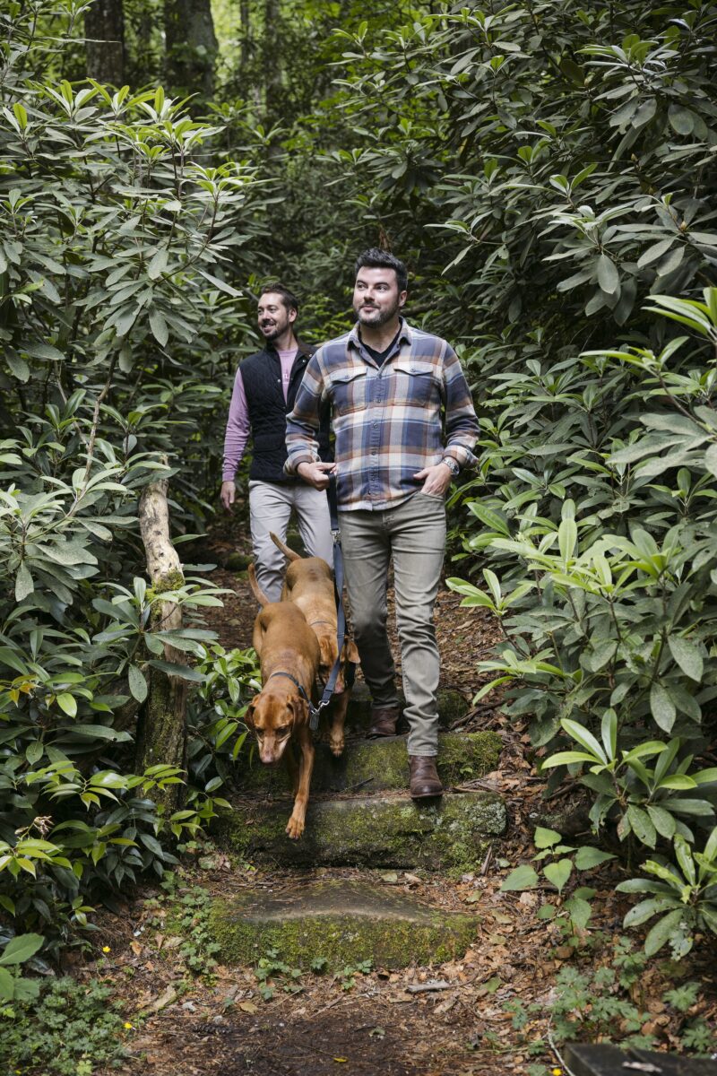 A couple walks dogs through a trail