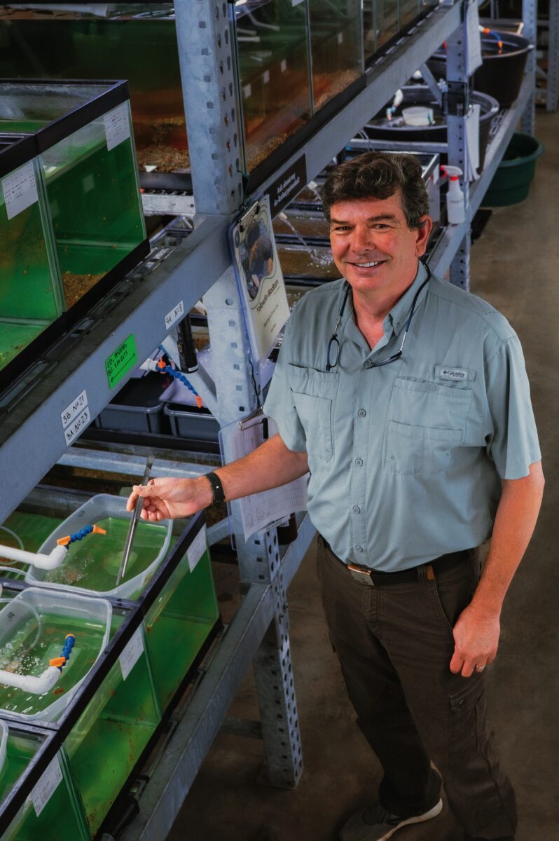 A man near fish tanks