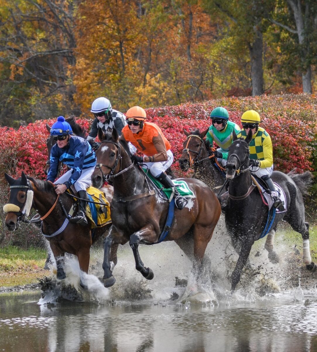 horses race through the mud