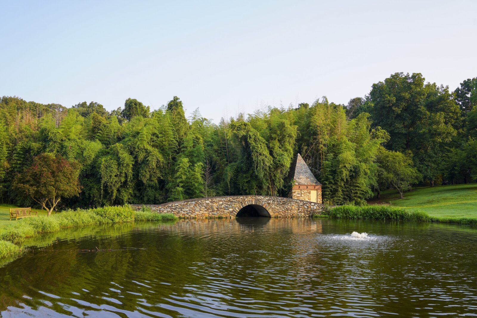A pond