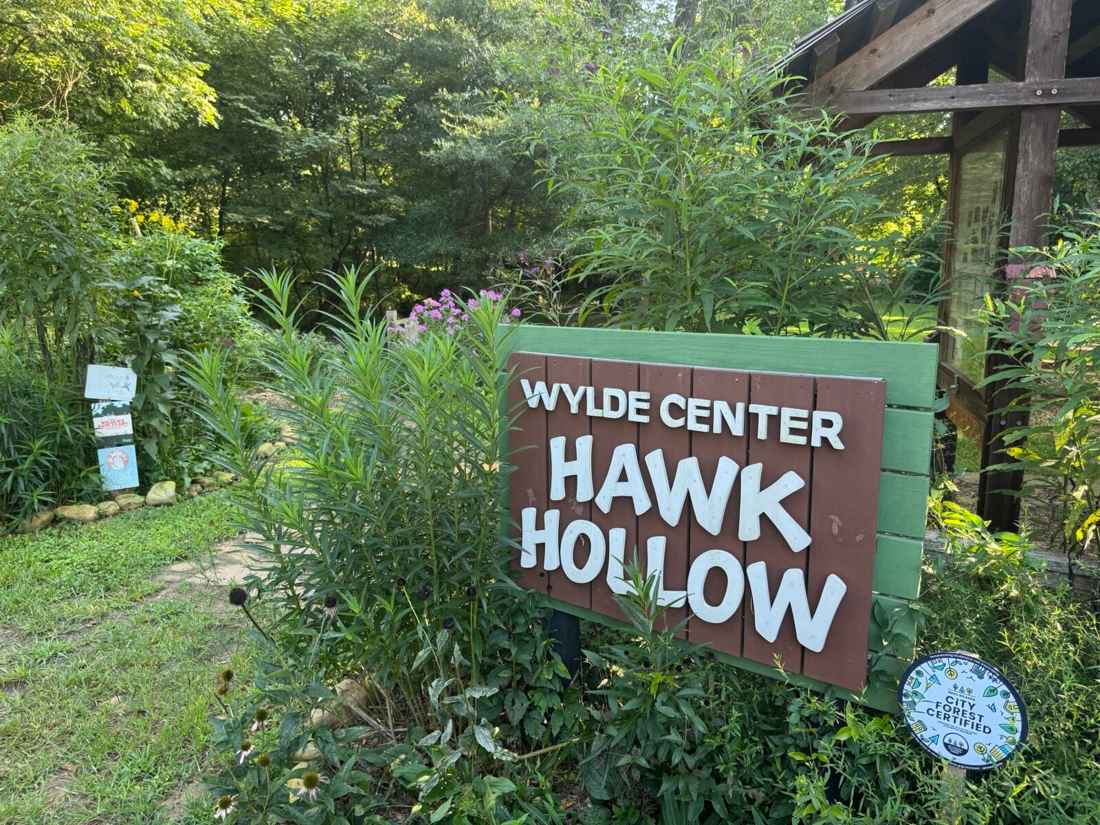 What Is a Soft Landing, and Why Does Your Garden Need One?