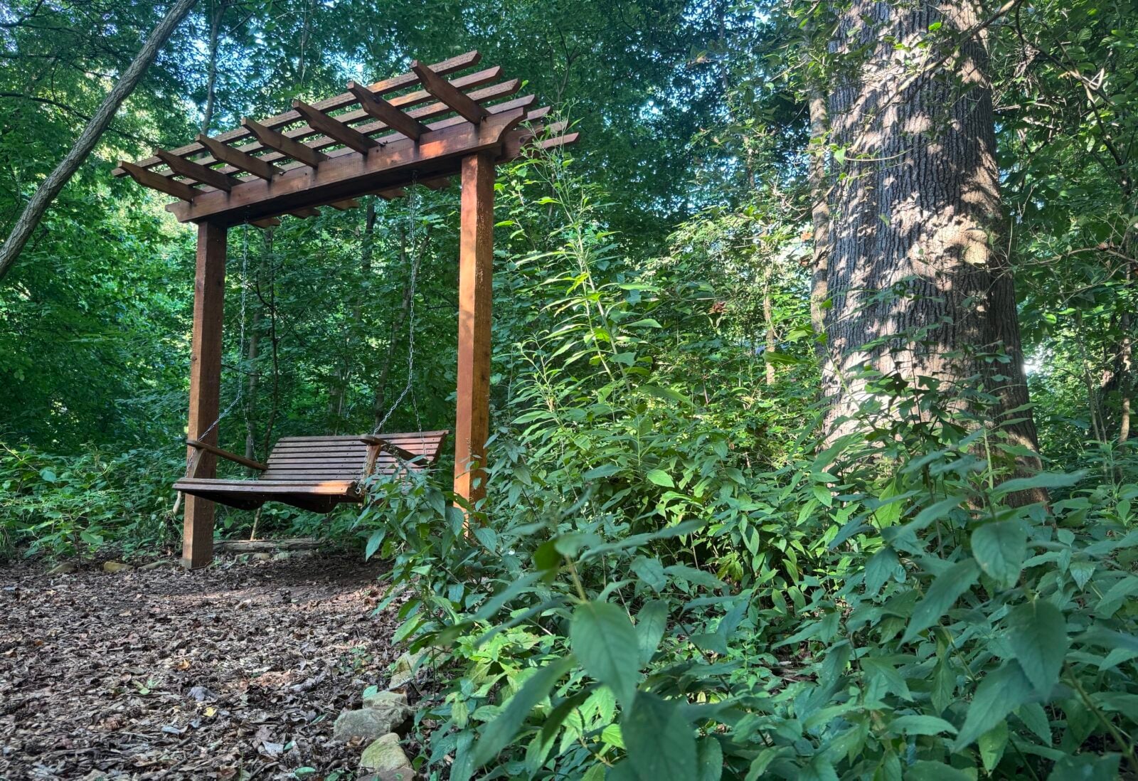 What Is a Soft Landing, and Why Does Your Garden Need One?