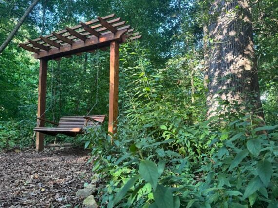 A bench in a park
