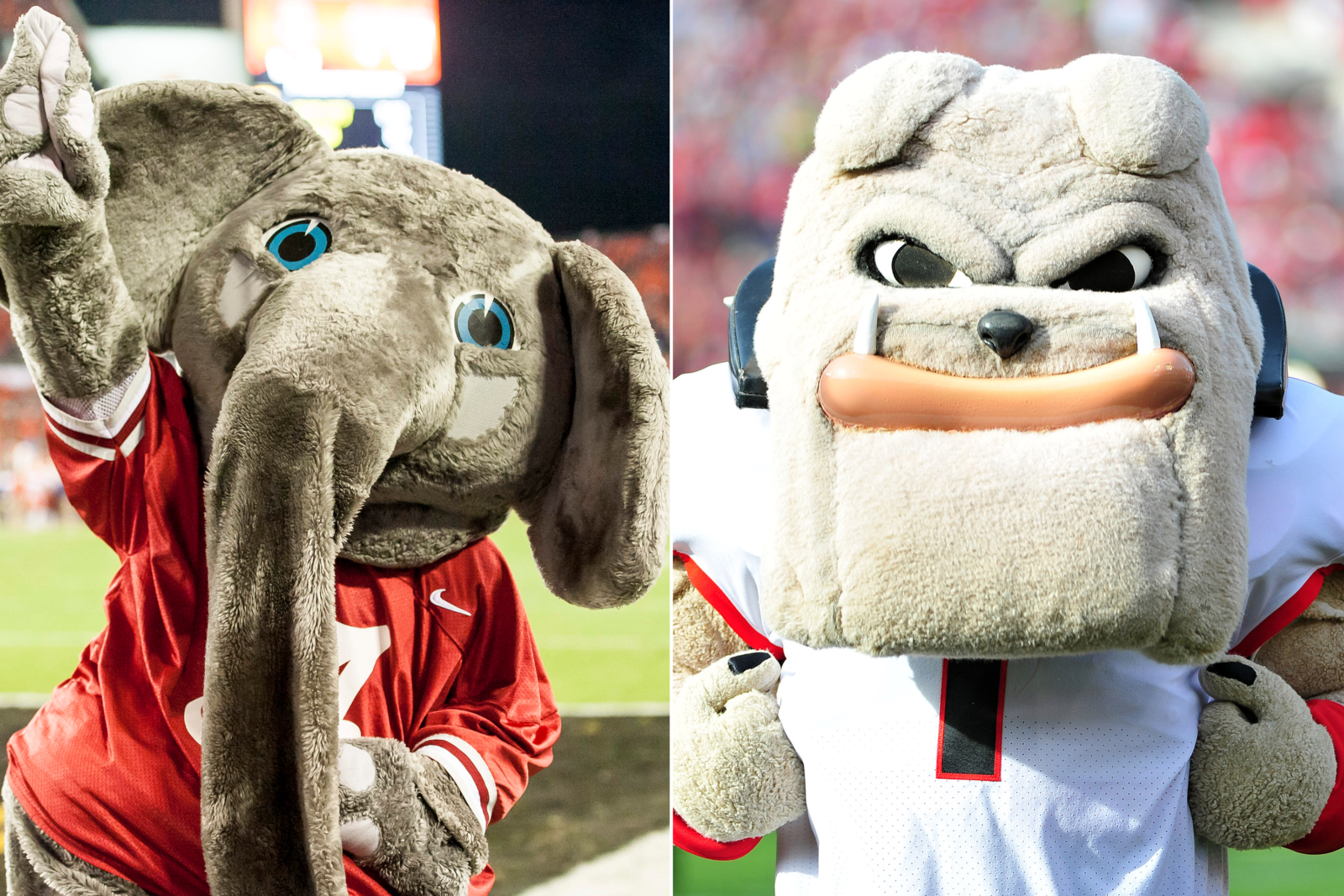 Georgia and Alabama mascots