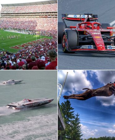 grid of sports images, including a football stadium, a formula 1 racecar, a speedboat, and a jumping dog