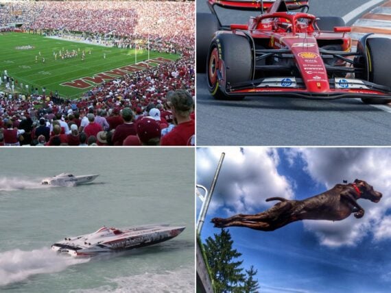 grid of sports images, including a football stadium, a formula 1 racecar, a speedboat, and a jumping dog