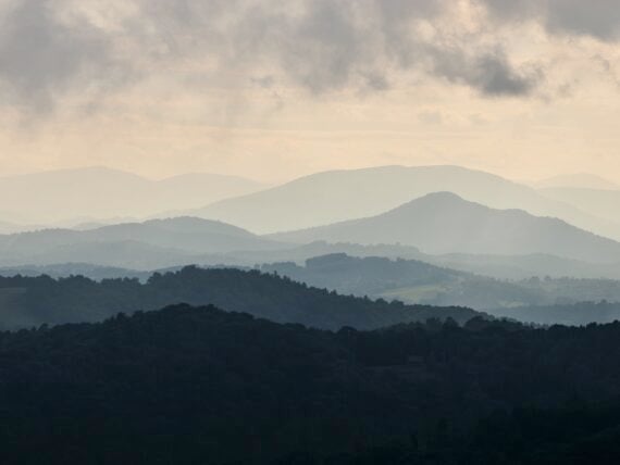 A Blue Ridge Parkway view