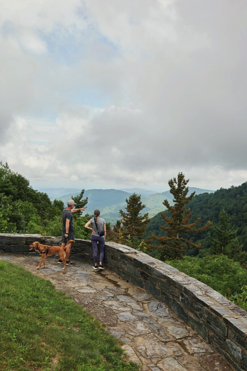 People and a dog look at a mountain overlook