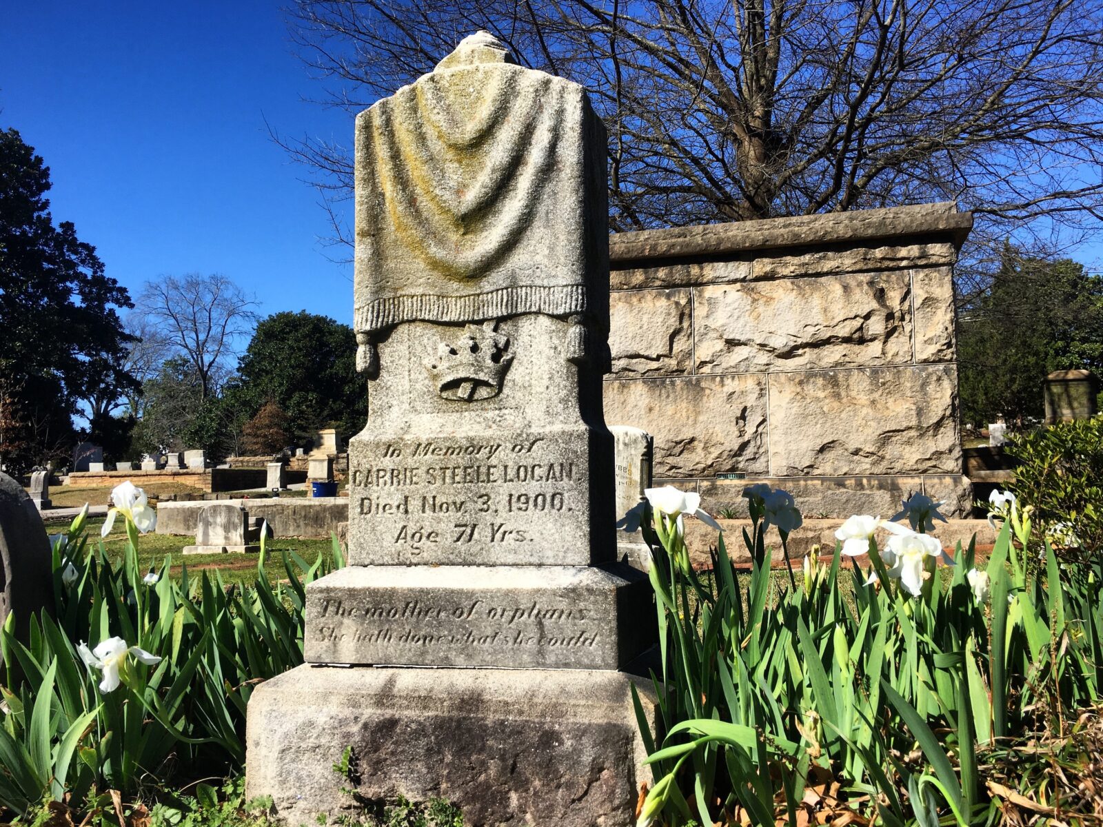 White irises bloom at a grave