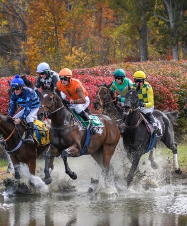 People race horses against a fall foliage backdrop