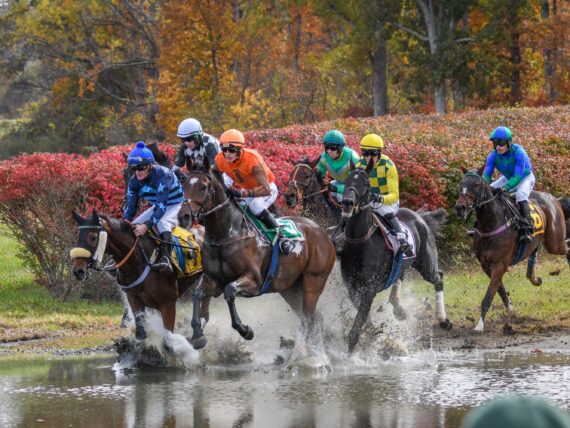 People race horses against a fall foliage backdrop