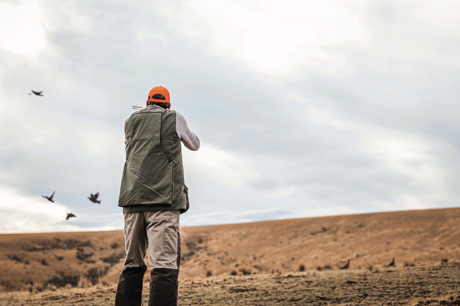 A man takes aim at birds in the field