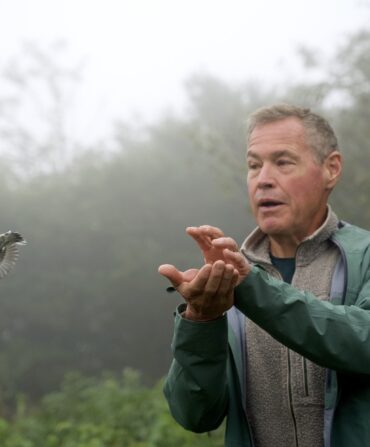 Jeff Corwin releases baby bird