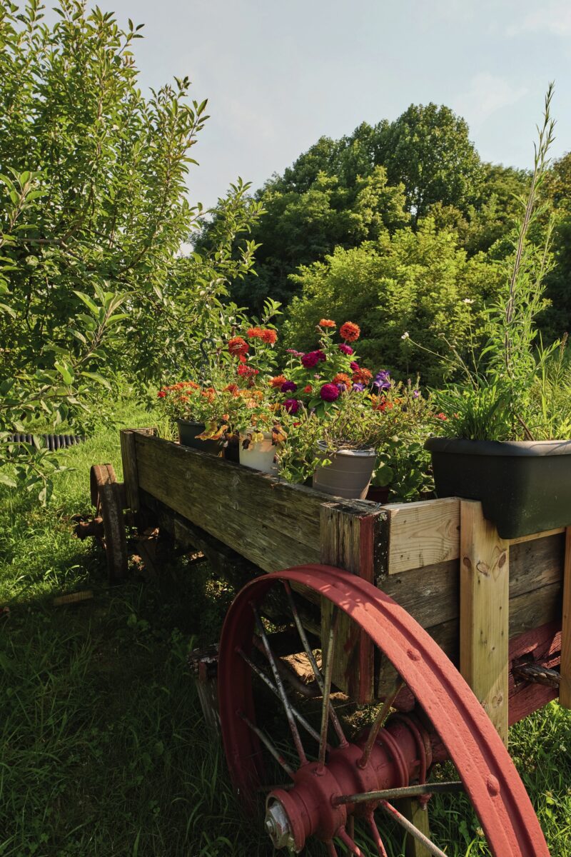 A wagon of flowers