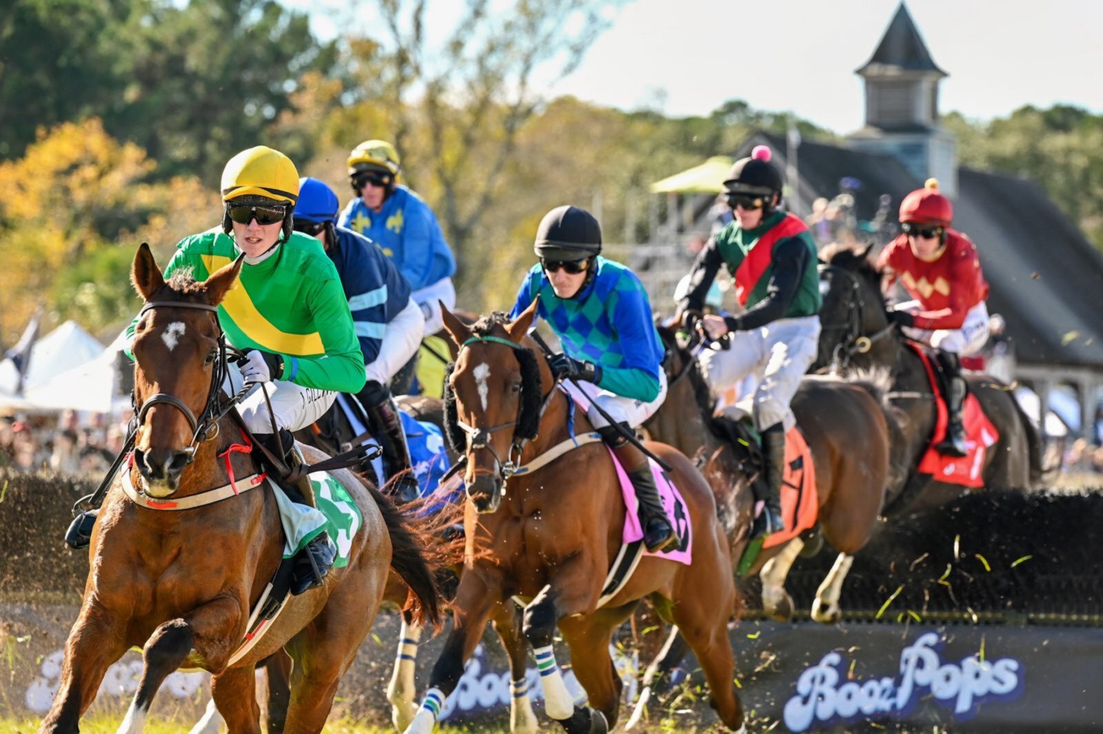 Horses racing