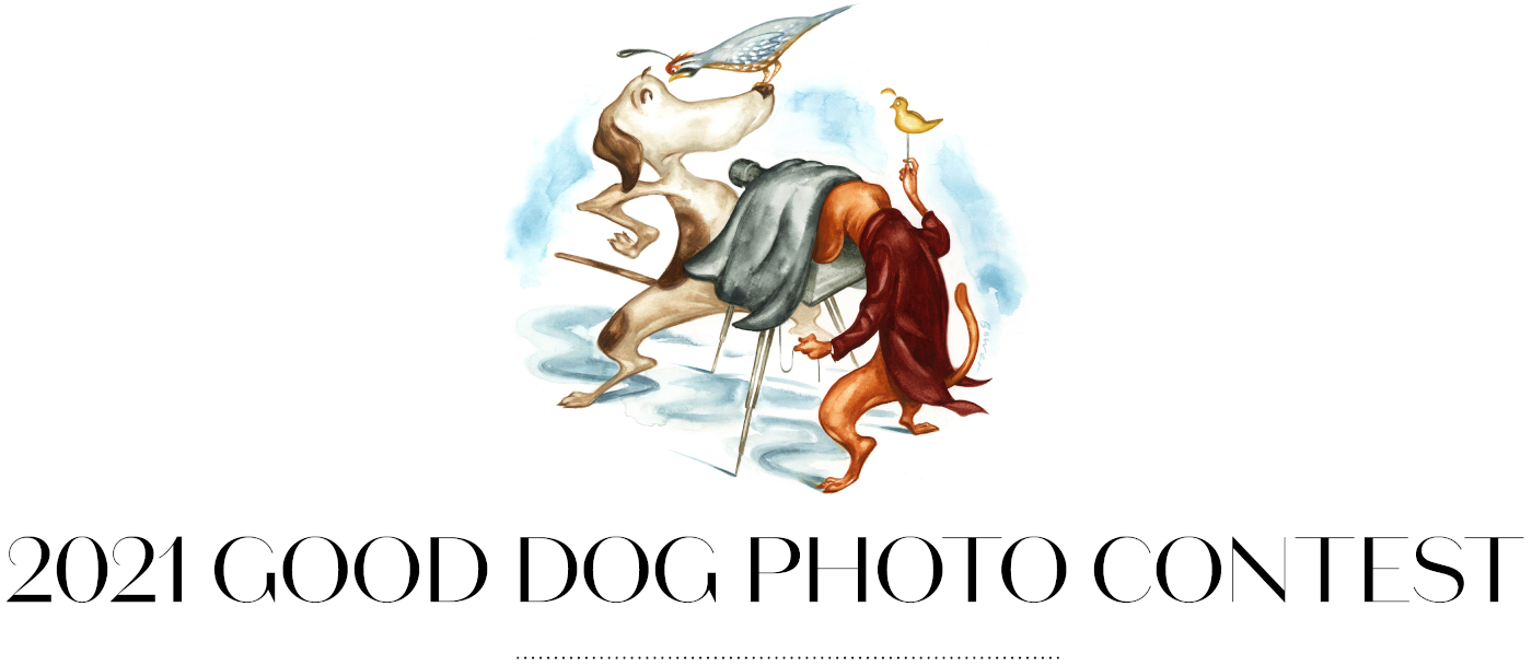 G&G’s 2021 Good Dog Photo Contest