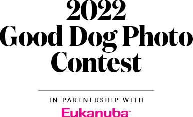 G&G’s 2022 Good Dog Photo Contest