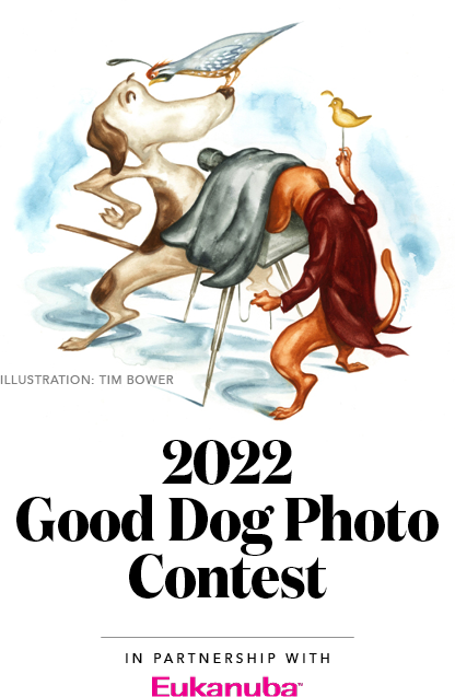 G&G’s 2022 Good Dog Photo Contest
