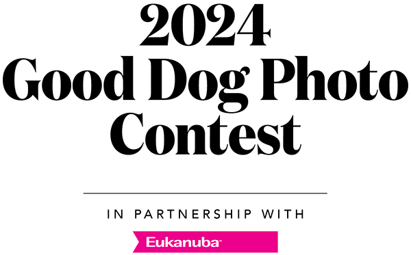 G&G’s 2024 Good Dog Photo Contest